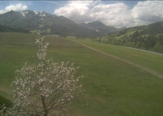 Archiv Foto Webcam Hochfilzen, Tirol