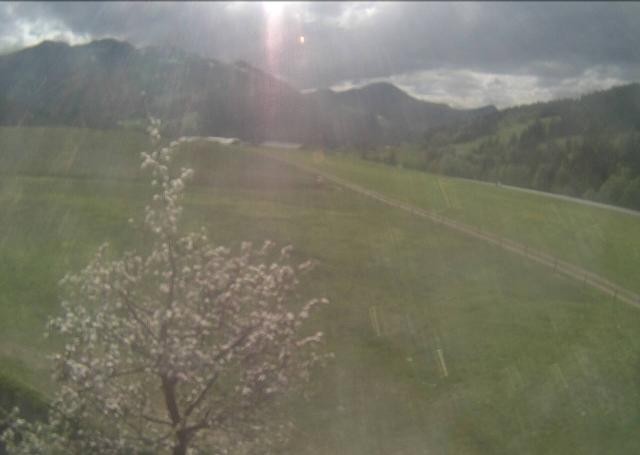 Archiv Foto Webcam Hochfilzen, Tirol