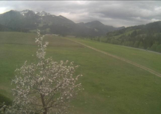 Archiv Foto Webcam Hochfilzen, Tirol