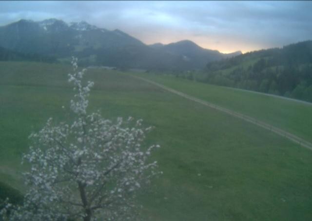 Archiv Foto Webcam Hochfilzen, Tirol