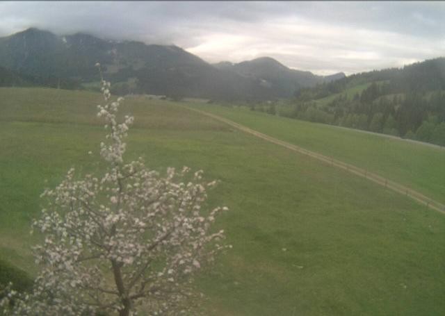 Archiv Foto Webcam Hochfilzen, Tirol