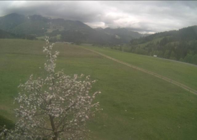 Archiv Foto Webcam Hochfilzen, Tirol