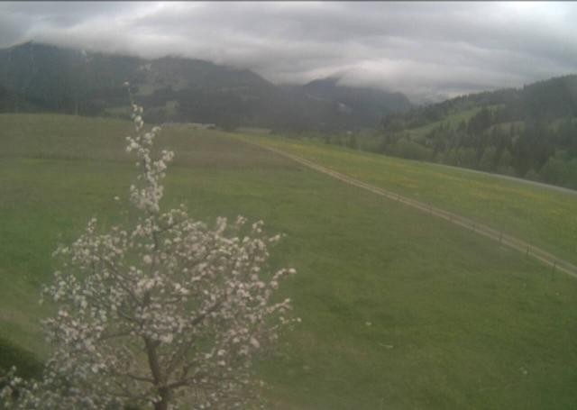 Archiv Foto Webcam Hochfilzen, Tirol