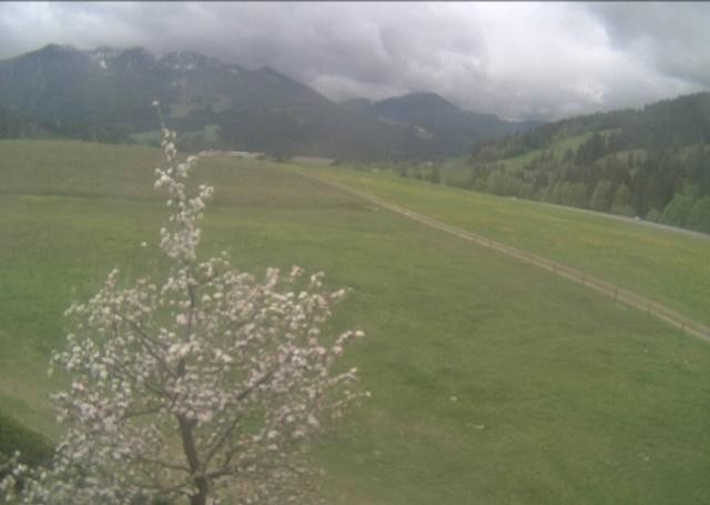 Archived image Webcam Hochfilzen, Tyrol