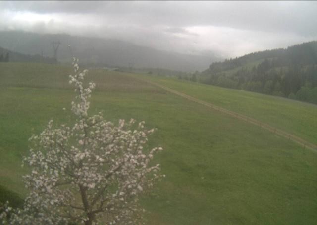 Archived image Webcam Hochfilzen, Tyrol