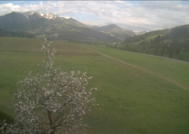 Archived image Webcam Hochfilzen, Tyrol