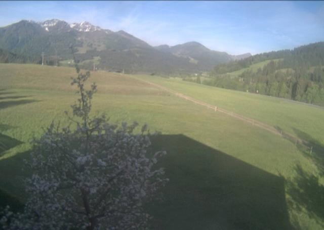 Archiv Foto Webcam Hochfilzen, Tirol