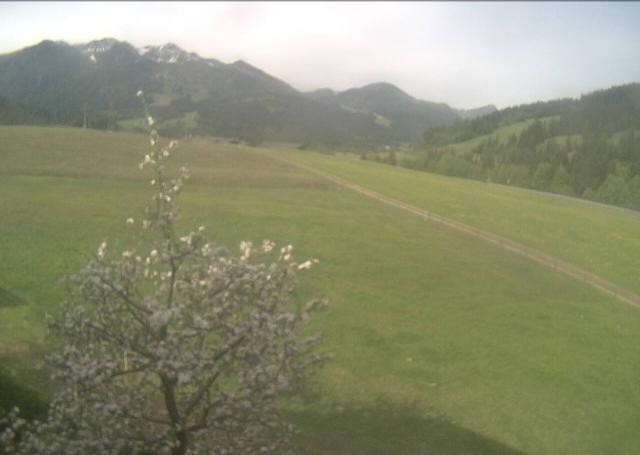 Archiv Foto Webcam Hochfilzen, Tirol
