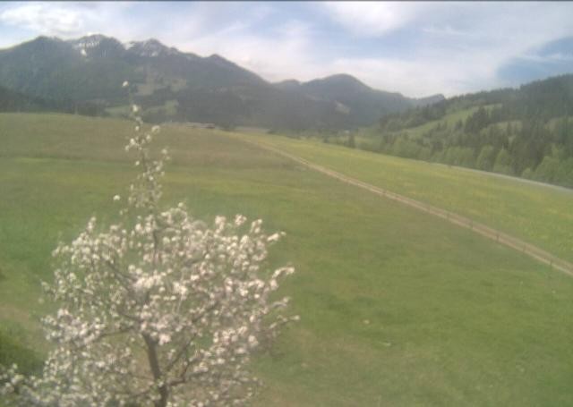 Archiv Foto Webcam Hochfilzen, Tirol