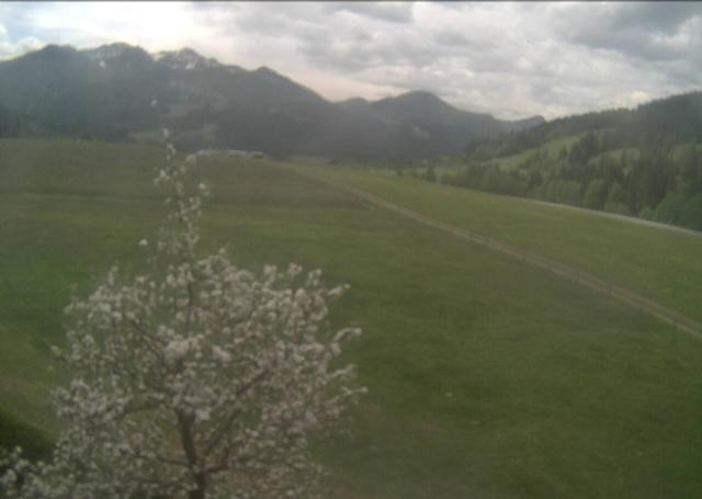 Archiv Foto Webcam Hochfilzen, Tirol