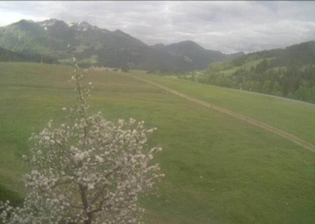 Archiv Foto Webcam Hochfilzen, Tirol