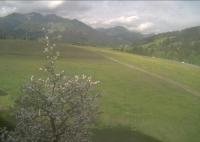 Archiv Foto Webcam Hochfilzen, Tirol