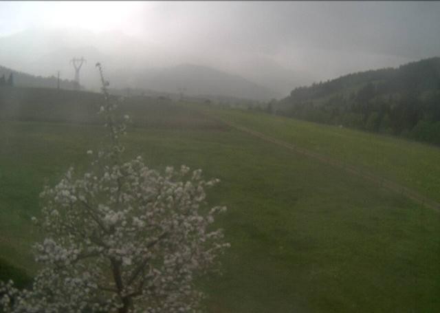 Archiv Foto Webcam Hochfilzen, Tirol