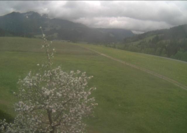Archiv Foto Webcam Hochfilzen, Tirol