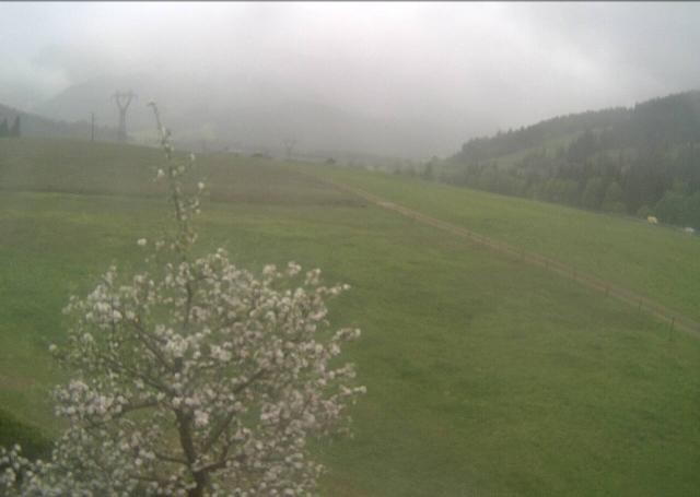 Archiv Foto Webcam Hochfilzen, Tirol