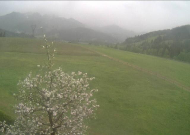Archiv Foto Webcam Hochfilzen, Tirol