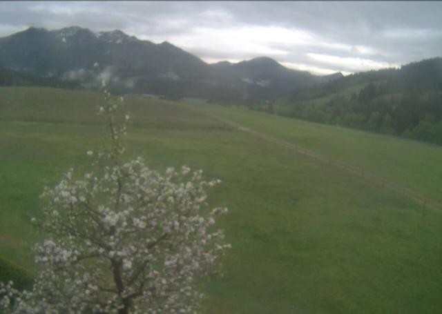 Archiv Foto Webcam Hochfilzen, Tirol