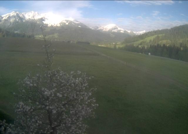 Archived image Webcam Hochfilzen, Tyrol