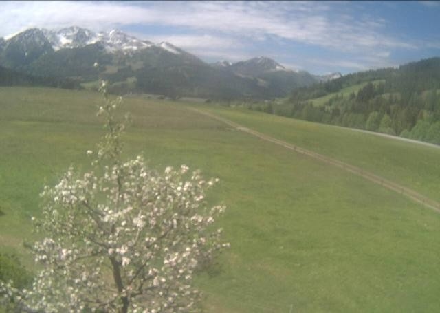Archived image Webcam Hochfilzen, Tyrol