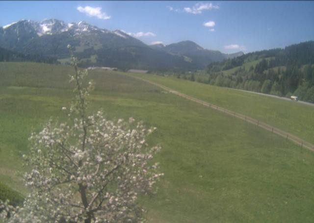 Archived image Webcam Hochfilzen, Tyrol
