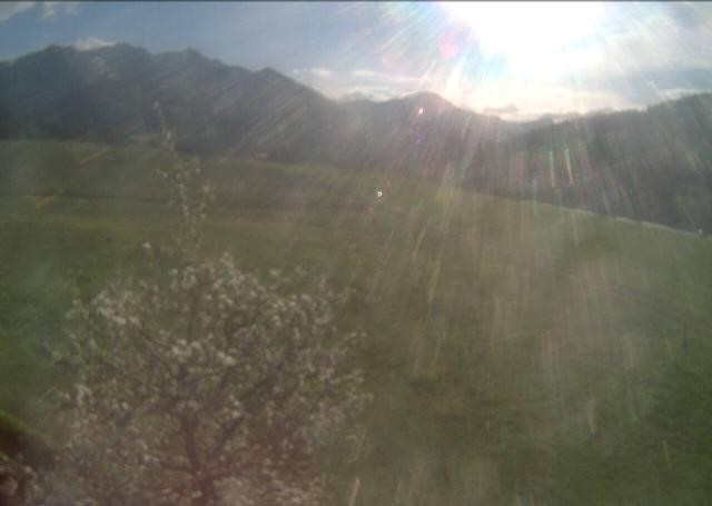 Archived image Webcam Hochfilzen, Tyrol