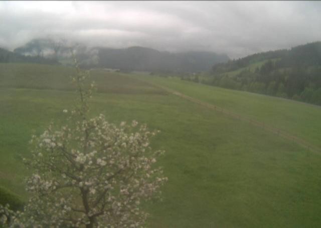 Archiv Foto Webcam Hochfilzen, Tirol