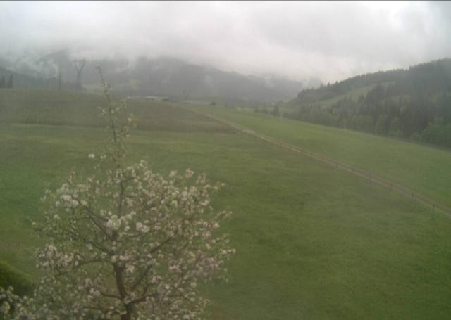Archiv Foto Webcam Hochfilzen, Tirol