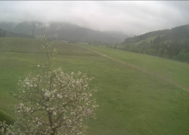 Archiv Foto Webcam Hochfilzen, Tirol