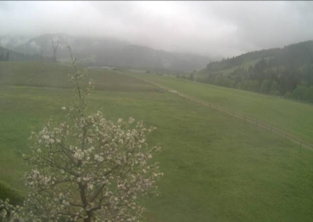 Archiv Foto Webcam Hochfilzen, Tirol