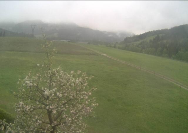 Archiv Foto Webcam Hochfilzen, Tirol