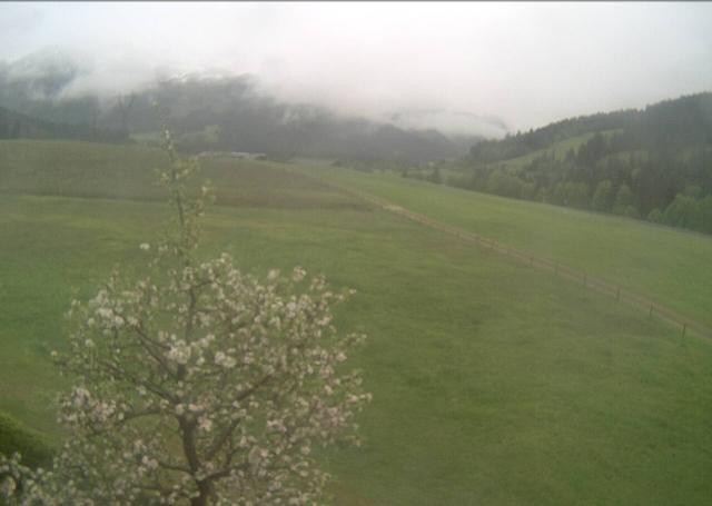 Archived image Webcam Hochfilzen, Tyrol