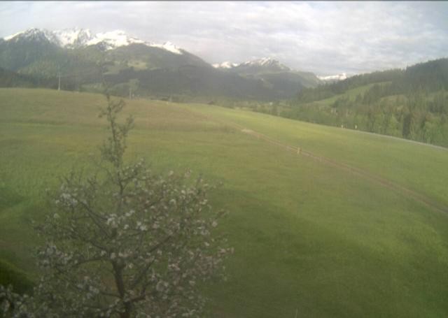 Archiv Foto Webcam Hochfilzen, Tirol