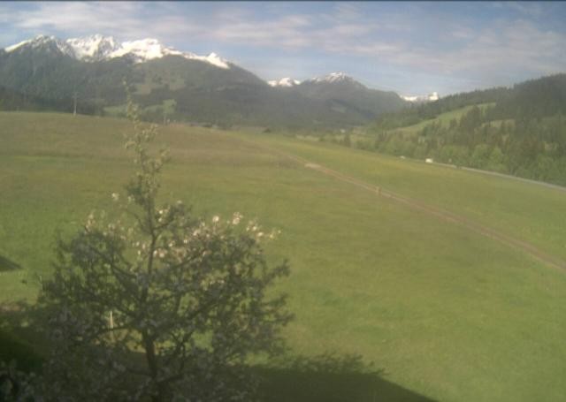Archiv Foto Webcam Hochfilzen, Tirol