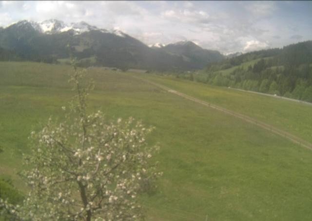 Archiv Foto Webcam Hochfilzen, Tirol