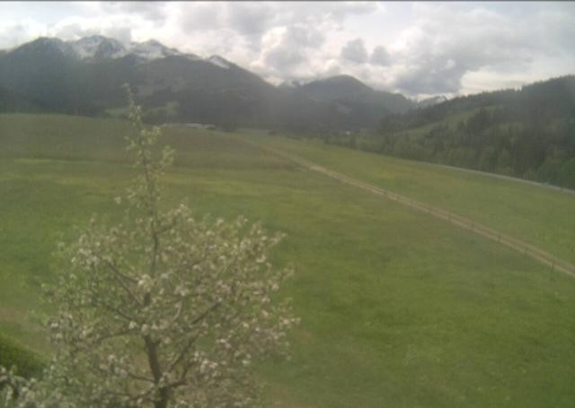 Archiv Foto Webcam Hochfilzen, Tirol