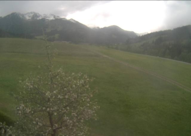 Archiv Foto Webcam Hochfilzen, Tirol
