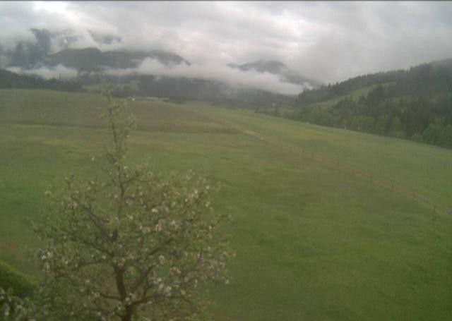 Archiv Foto Webcam Hochfilzen, Tirol
