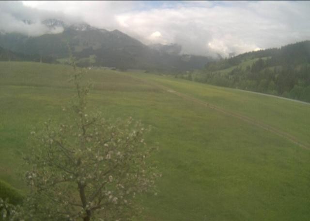 Archiv Foto Webcam Hochfilzen, Tirol