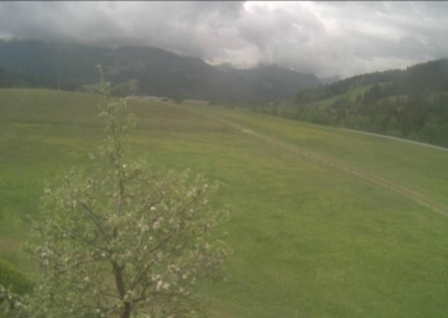Archiv Foto Webcam Hochfilzen, Tirol