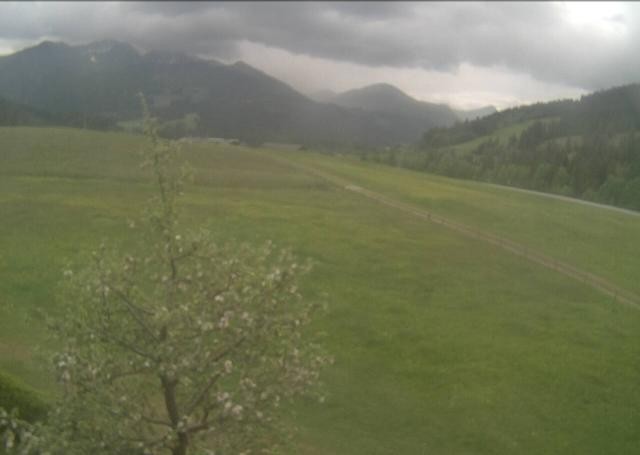 Archiv Foto Webcam Hochfilzen, Tirol
