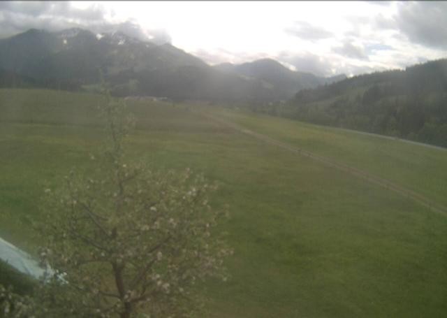 Archiv Foto Webcam Hochfilzen, Tirol