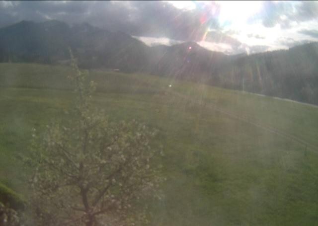 Archiv Foto Webcam Hochfilzen, Tirol