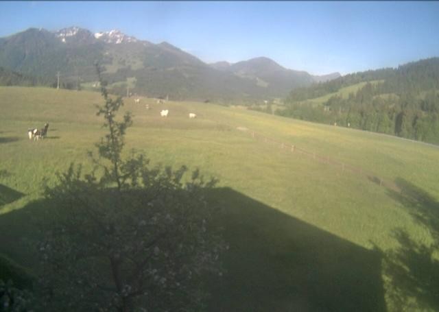 Archiv Foto Webcam Hochfilzen, Tirol