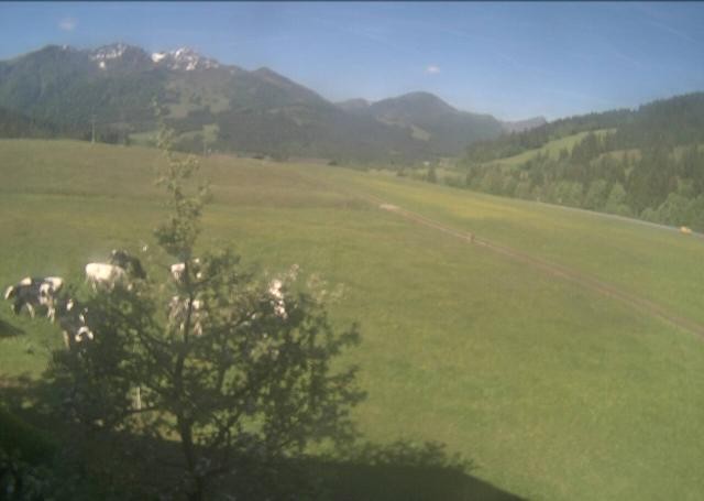 Archiv Foto Webcam Hochfilzen, Tirol