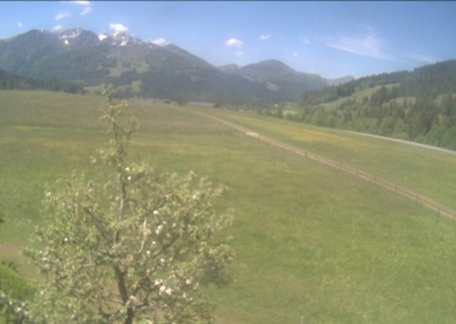 Archiv Foto Webcam Hochfilzen, Tirol