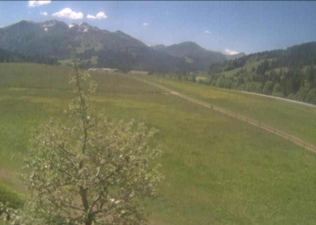 Archiv Foto Webcam Hochfilzen, Tirol