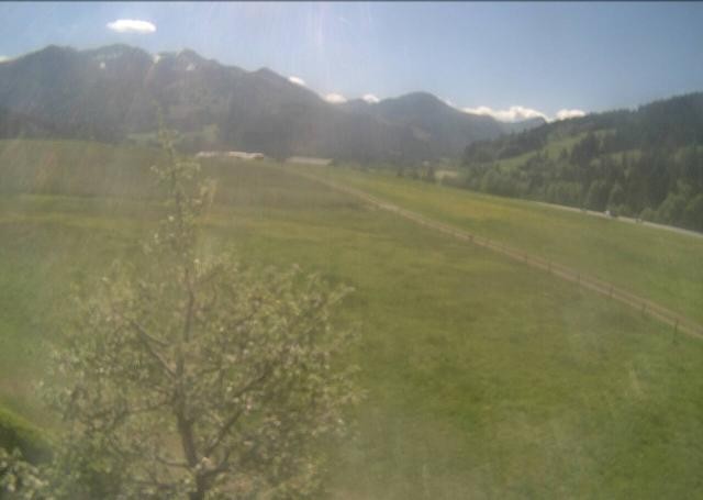 Archiv Foto Webcam Hochfilzen, Tirol