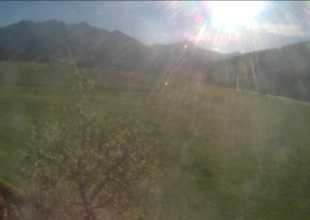 Archiv Foto Webcam Hochfilzen, Tirol