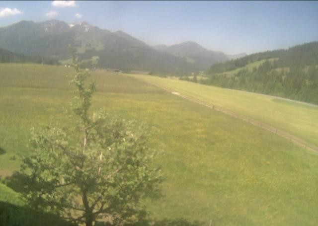 Archiv Foto Webcam Hochfilzen, Tirol