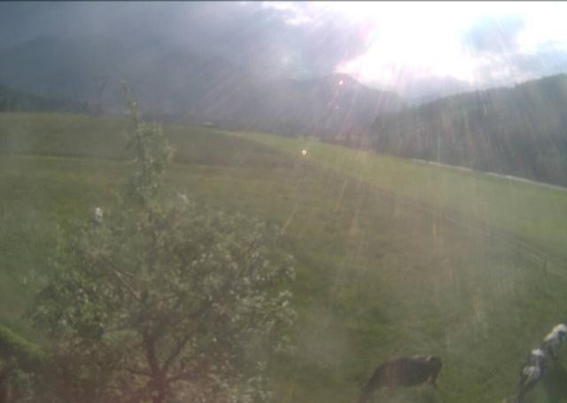 Archiv Foto Webcam Hochfilzen, Tirol